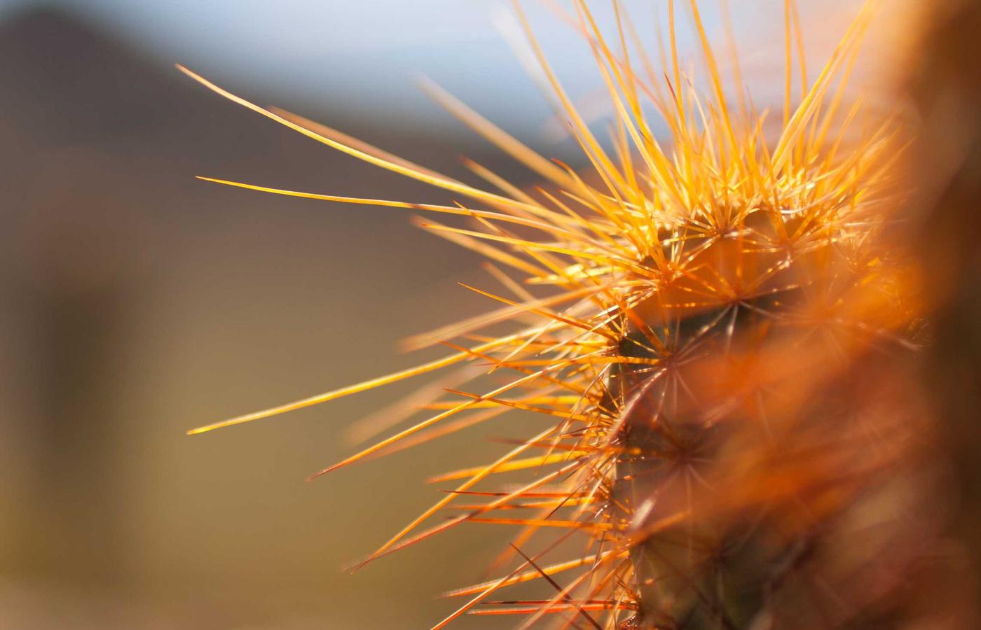 Detailed view of a satellite with solar panels
